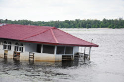 Experts report that last year's Hurricane Michael will have ongoing environmental impacts and will increase flood insurance requirements.