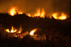 Wildfire burning low to ground