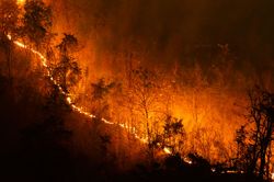 A major SoCal Edison lawsuit filed by state agencies over the Thomas and Woolsey Fires in 2017 and 2018 has been settled for $360 million.