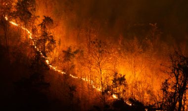 A major SoCal Edison lawsuit filed by state agencies over the Thomas and Woolsey Fires in 2017 and 2018 has been settled for $360 million.