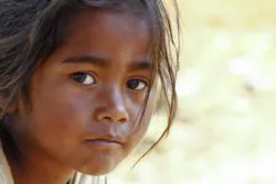 Companies such as Apple and Telsa are accused of exploiting child labor