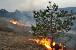 The Pacific Gas and Electric fires have financially devastated many victims.
