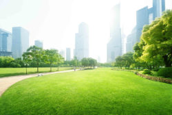 City park in sunshine