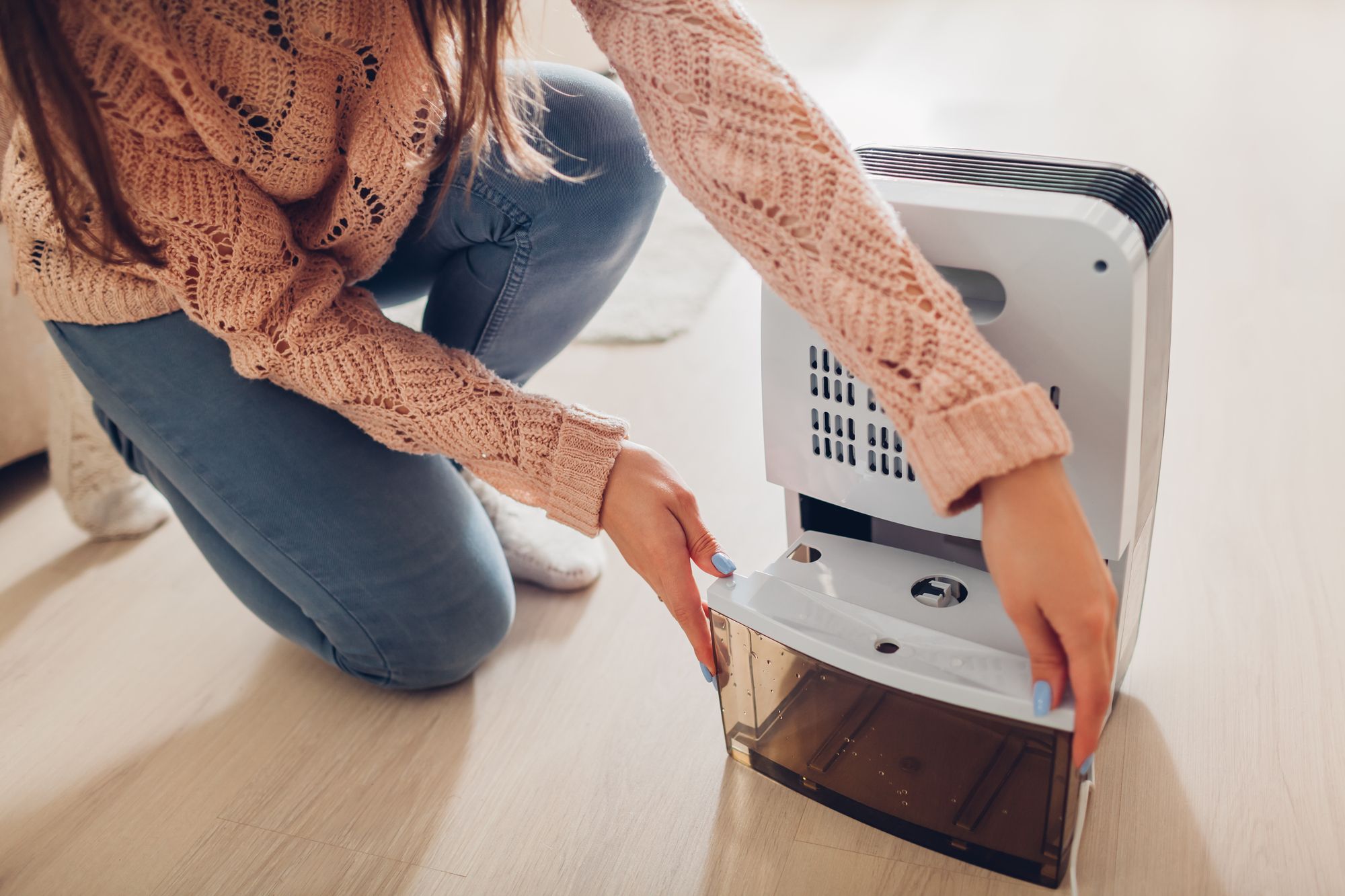 electrolux fridgidaire dehumidifier