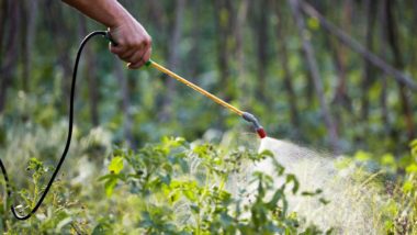 man spraying weeds with Roundup