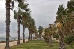 hurricane costs may impact individual families