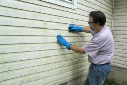 Man cleaning mold off vinyl siding