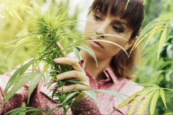 Cannabis workers deserve fair labor laws too.