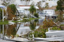 A flooded Florida street with downed trees and damaged housing littering the ground.