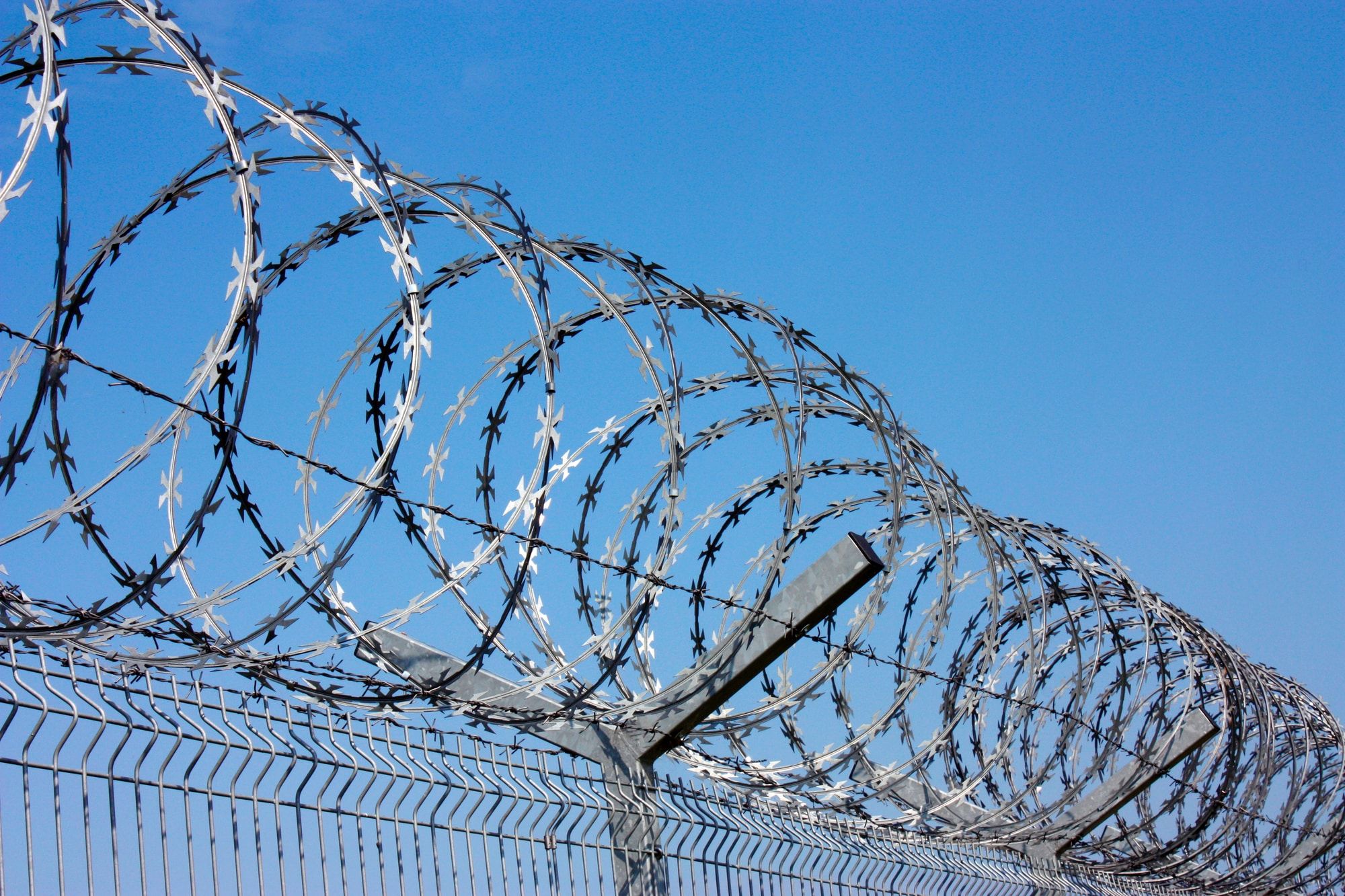 Immigrant detainees in ICE custody