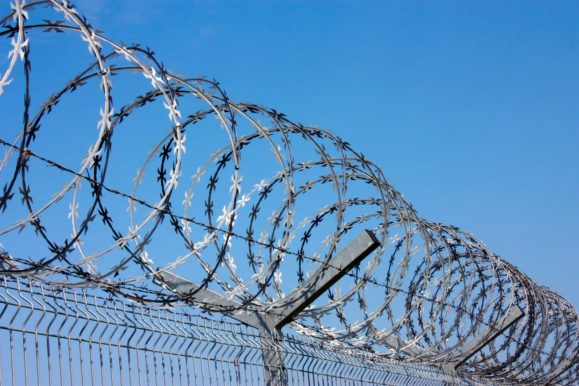 Immigrant detainees in ICE custody