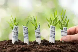 Roundup Concentrate settlement money