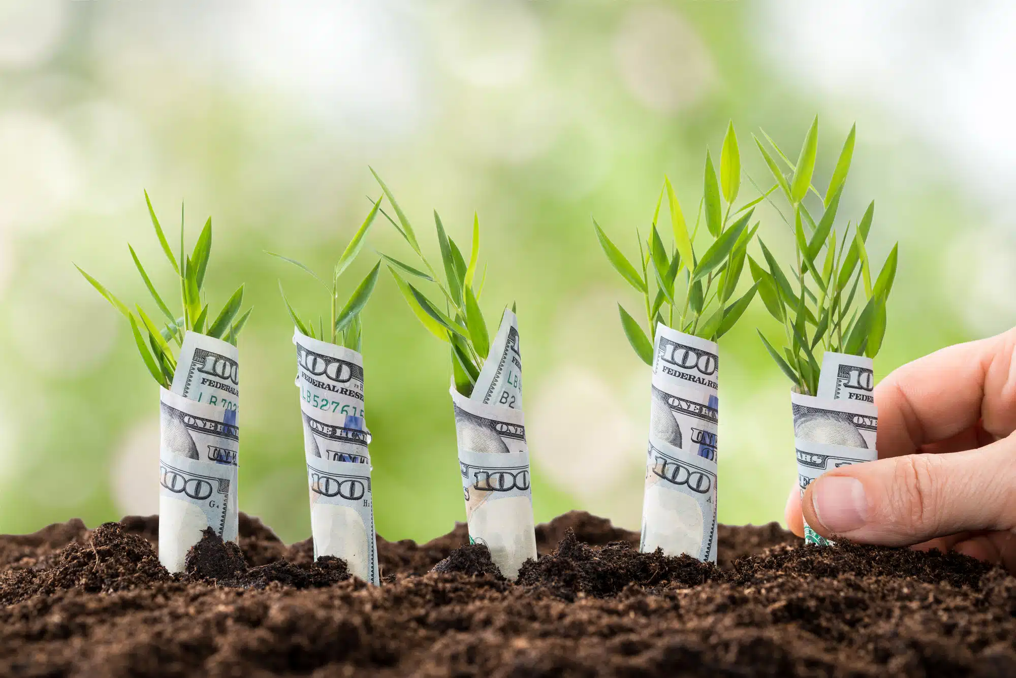 Roundup Concentrate settlement money