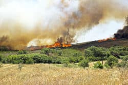 Homewoners are having trouble selling due to rising insurance premiums caused by recent California wildfires.
