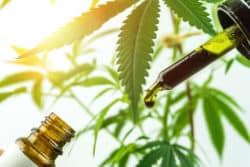 The FDA has yet to regulate CBD.