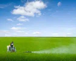 There is concern about the cancer risk if farmers use glyphosate.