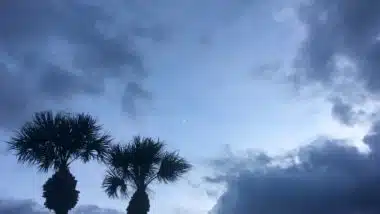 Palm trees and storm clouds