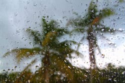 Hurricane claims for storm damage.