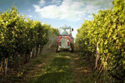 Roundup cancer can occur with exposure to glyphosate