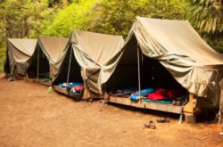 Tents at boy scout camp