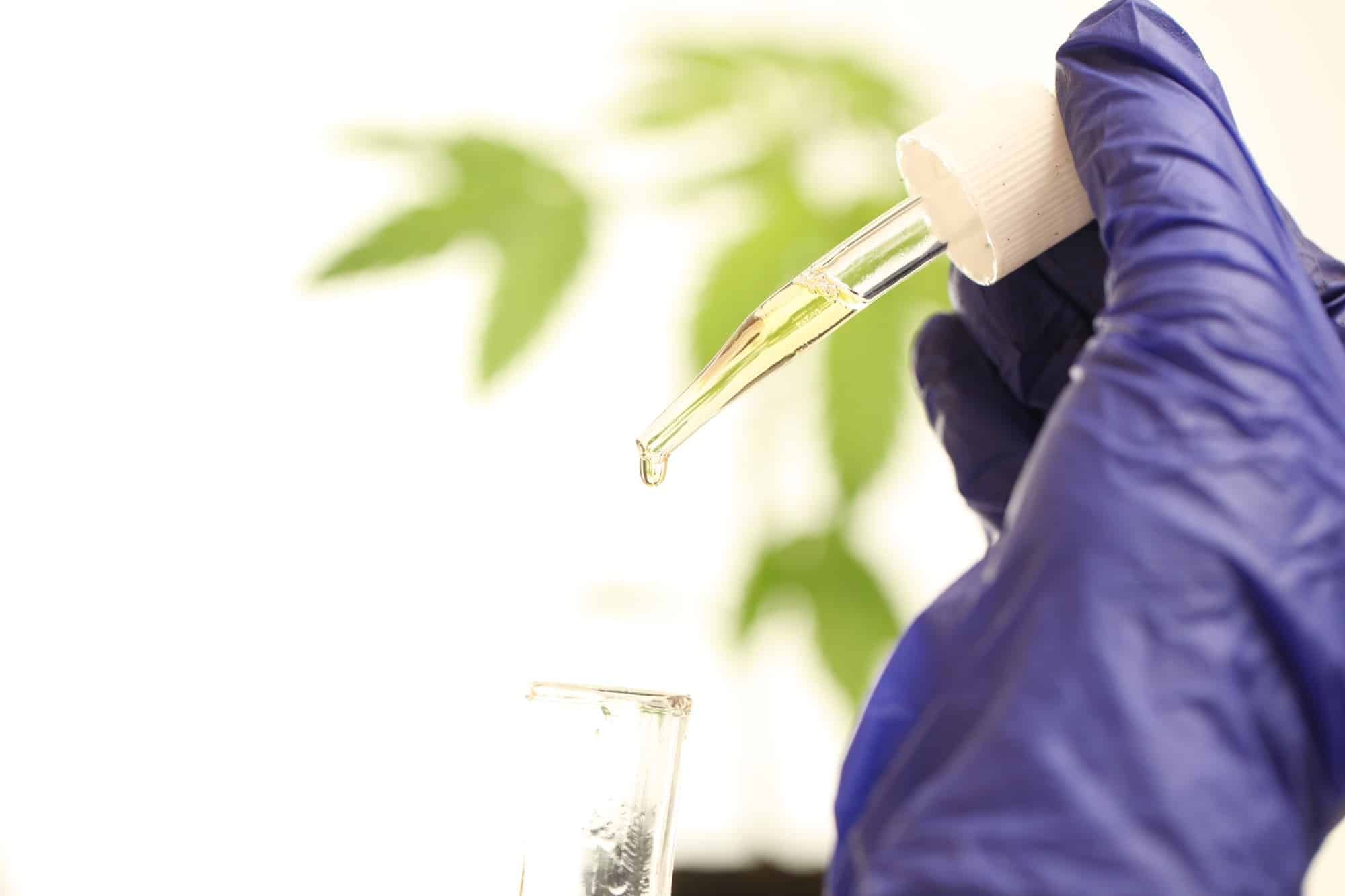 Testing CBD oil in lab