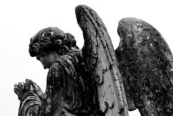 The Archdiocese of Newark is faced with charges of sexual abuse by its clergy.