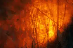 There are a host of issues being litigated over PG&E fire prevention programs.