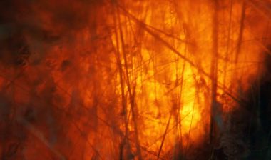 There are a host of issues being litigated over PG&E fire prevention programs.