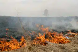 California wildfire lawsuit