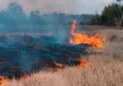 Calfornia wildfire spreading in dry grass