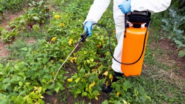 Glyphosate may be a carcinogen.