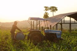 Roundup ingredients may be harmful to people.