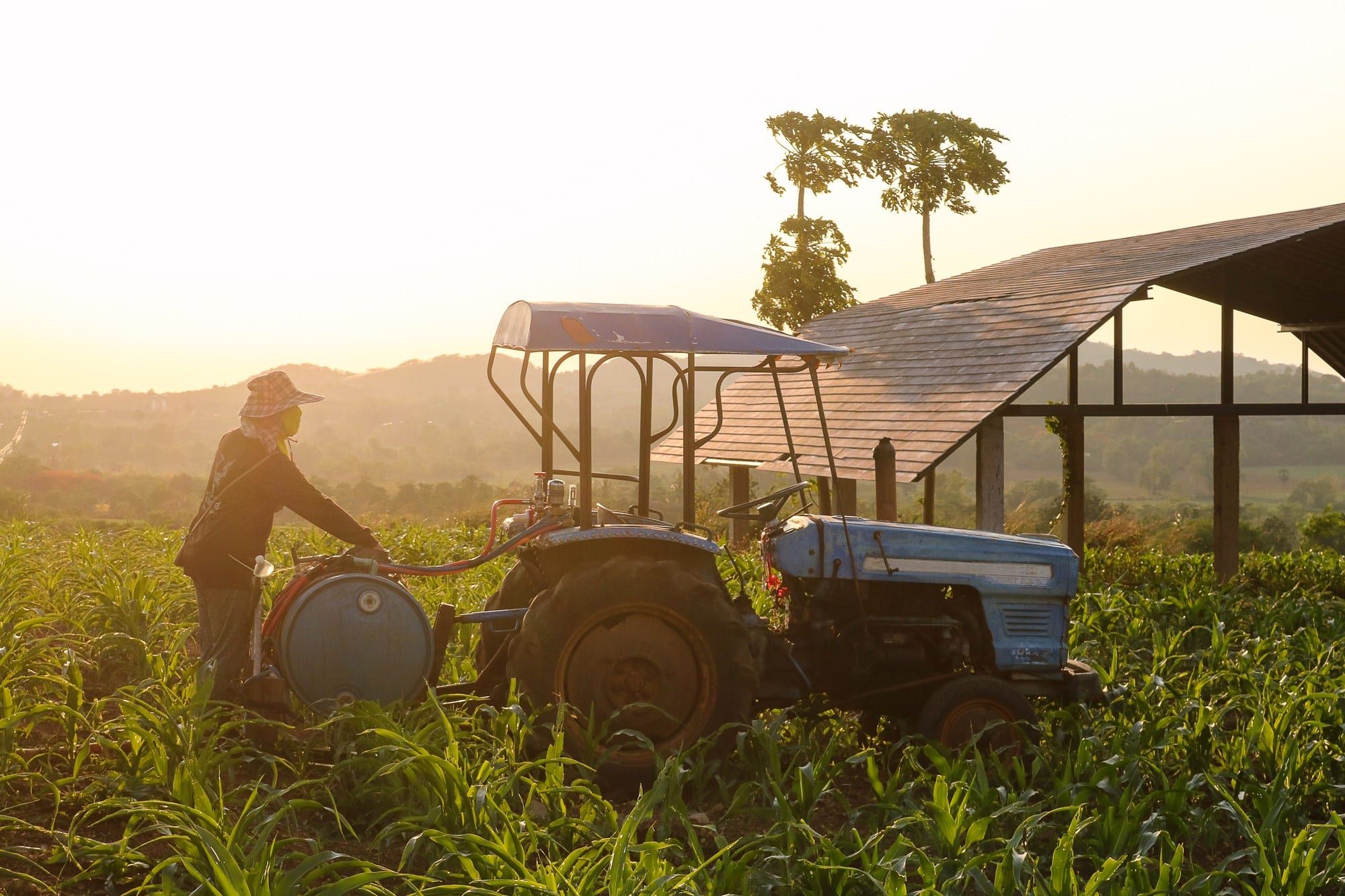 Roundup ingredients may be harmful to people.