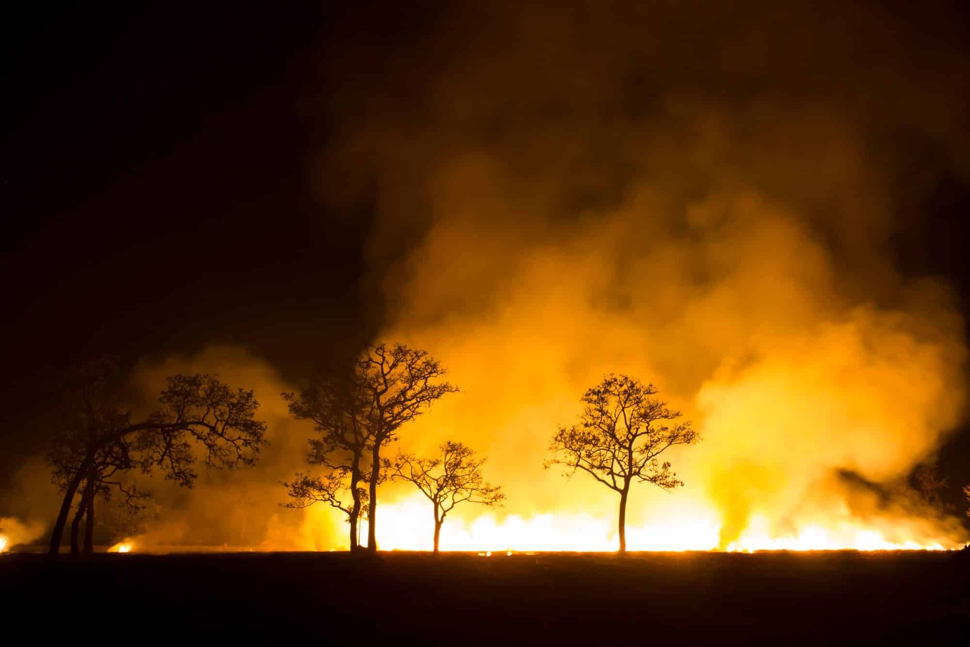 PG&E bankruptcy and FEMA settlement