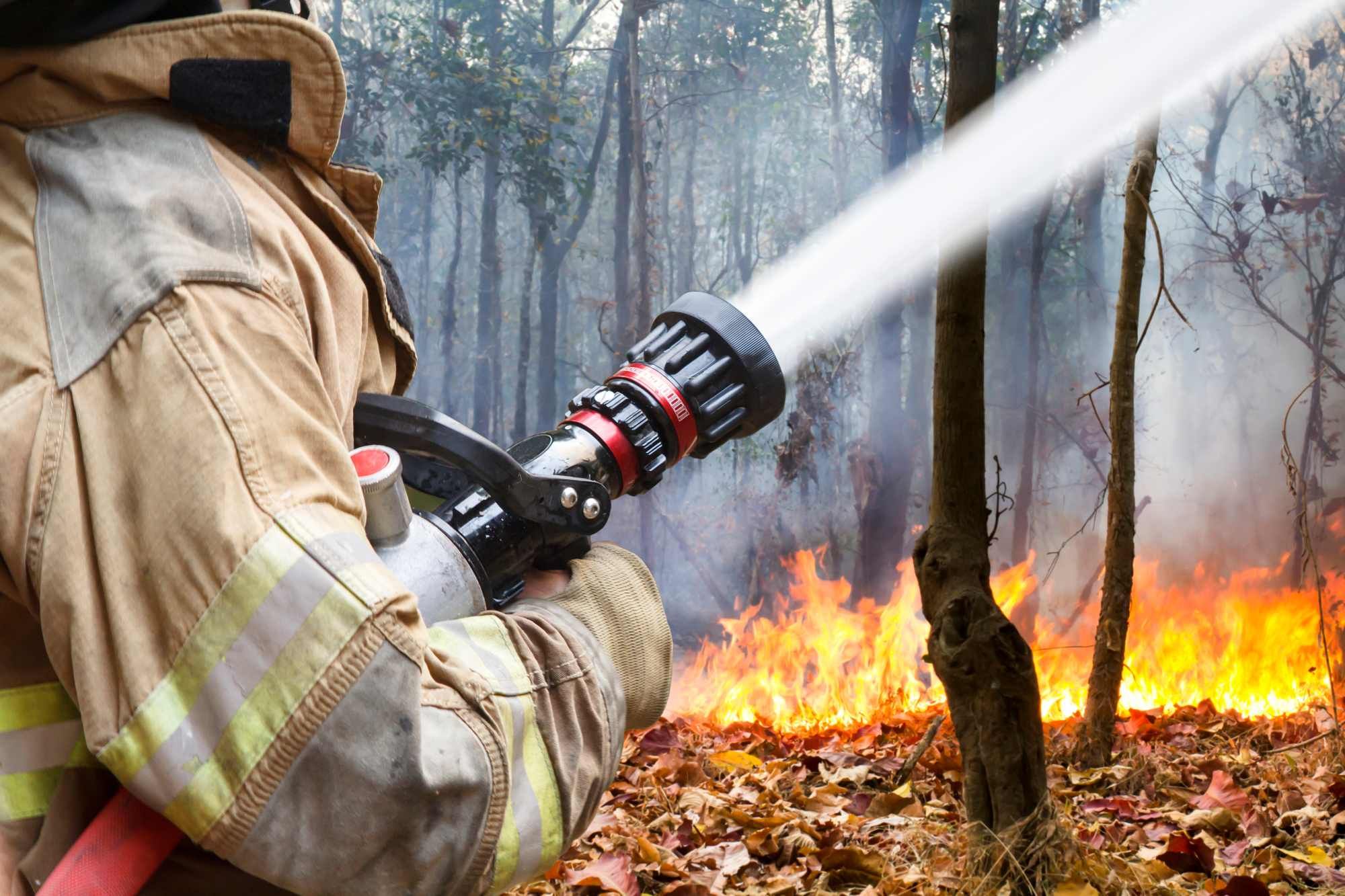 California wildfire season facts and information