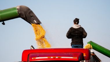 Roundup ingredients may be dangerous to people.