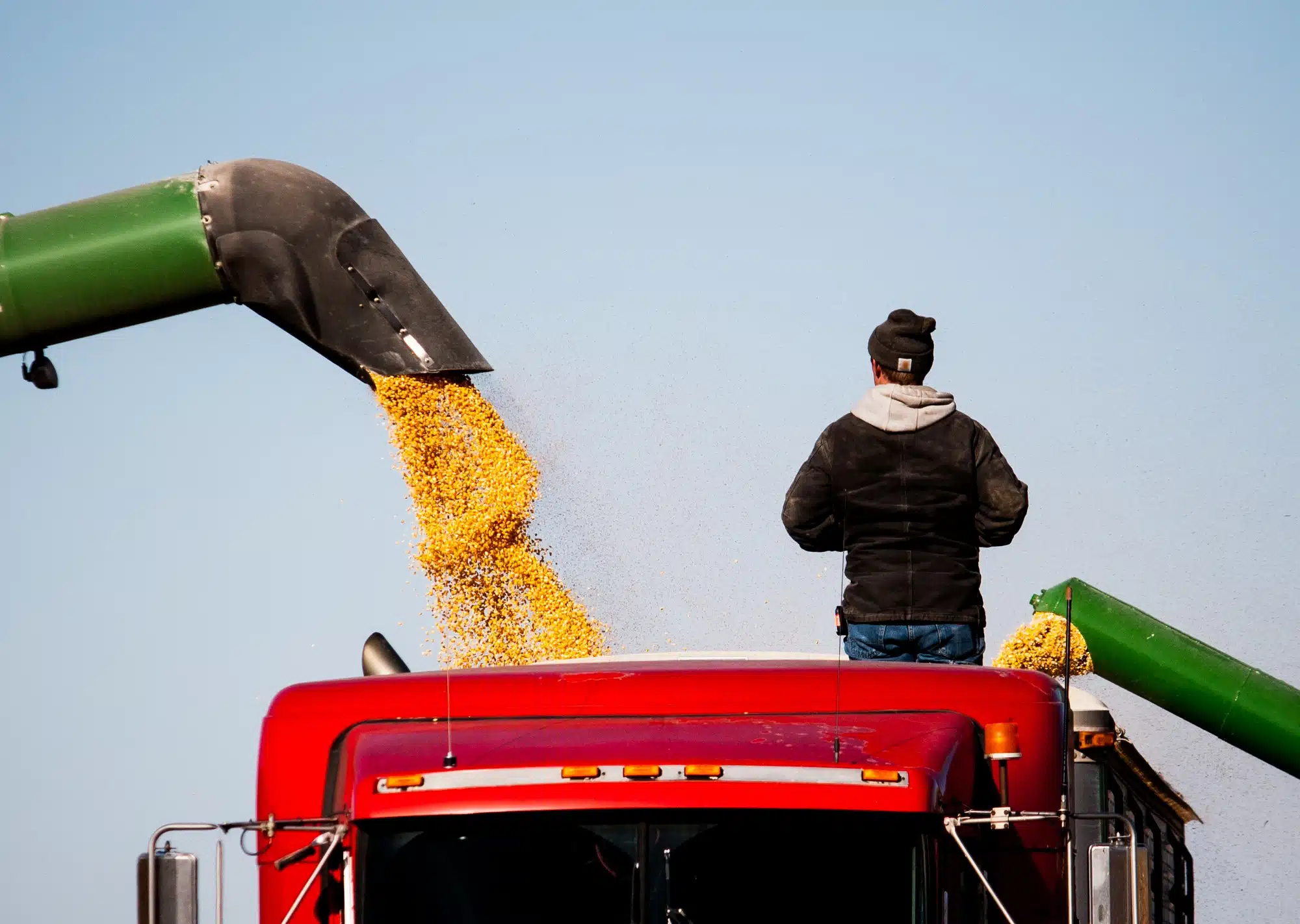 Roundup ingredients may be dangerous to people.