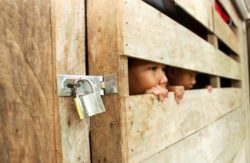 child victims of human trafficking