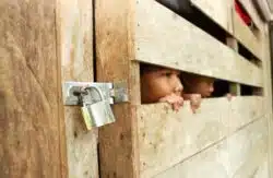 child victims of human trafficking