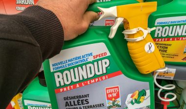 shopping for roundup weed killer