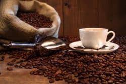 Kona coffee bean