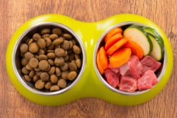 Simply 6 dog food and natural food