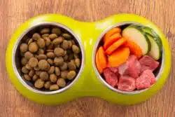 Simply 6 dog food and natural food