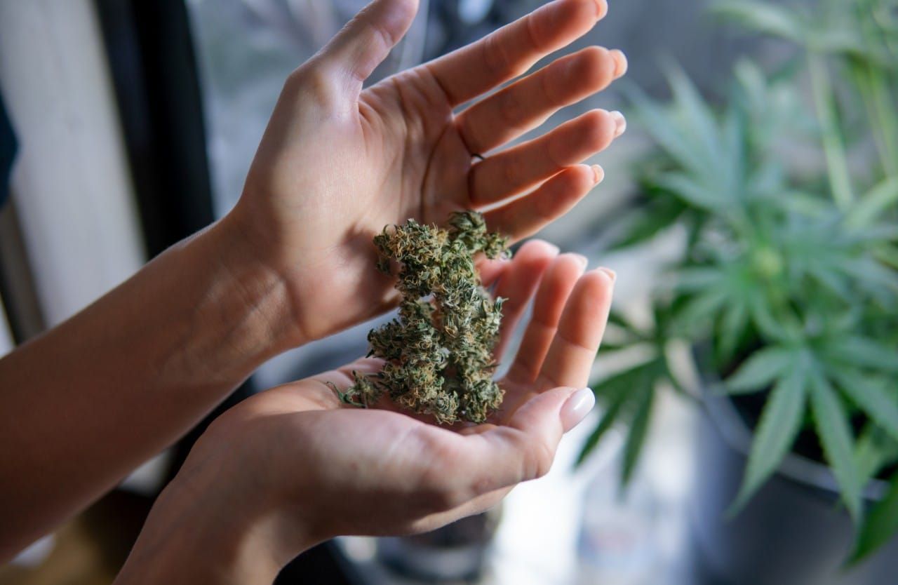 Legalized marijuana 