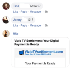 Vizio Facebook Comment 3
