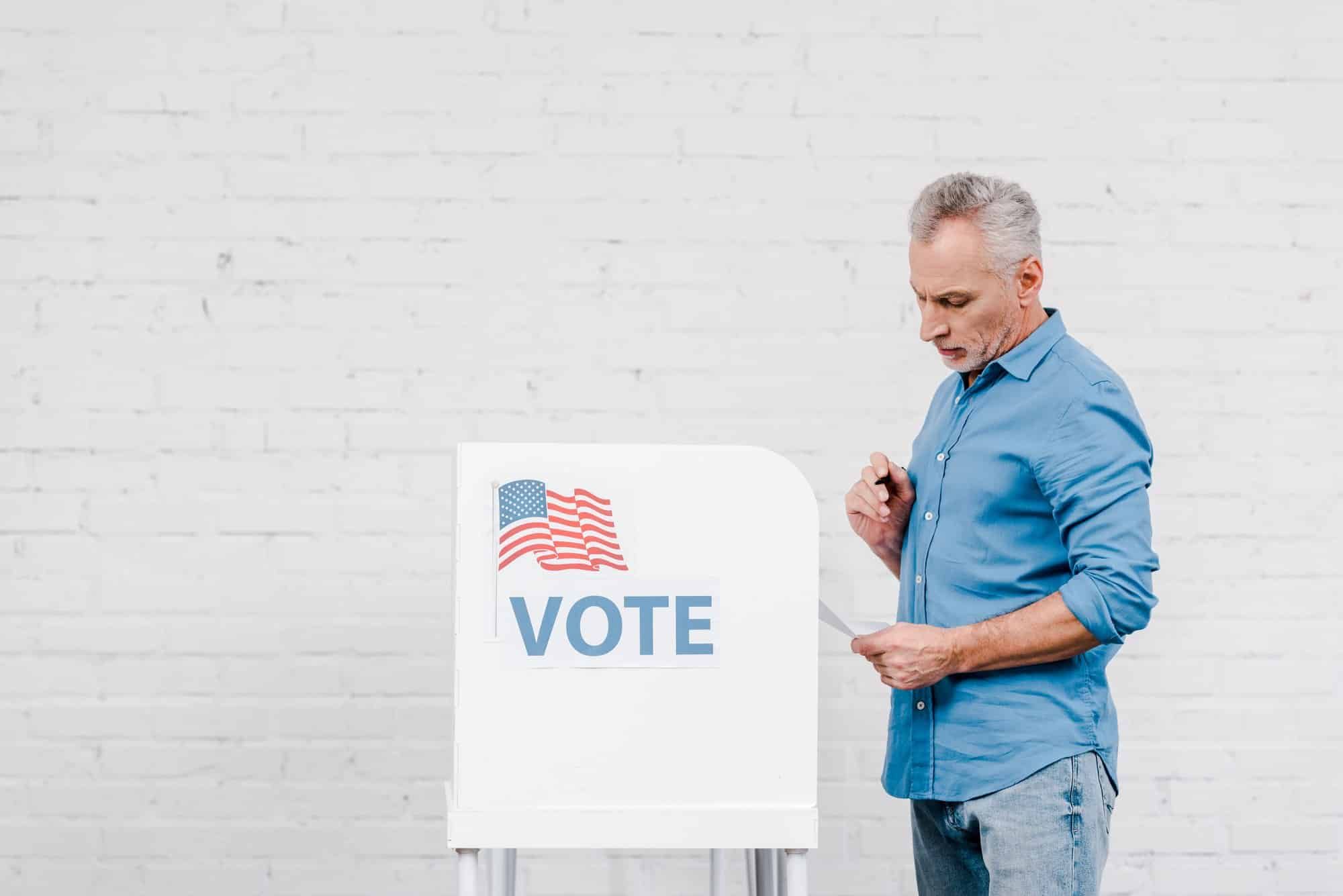 Minnesota America voter