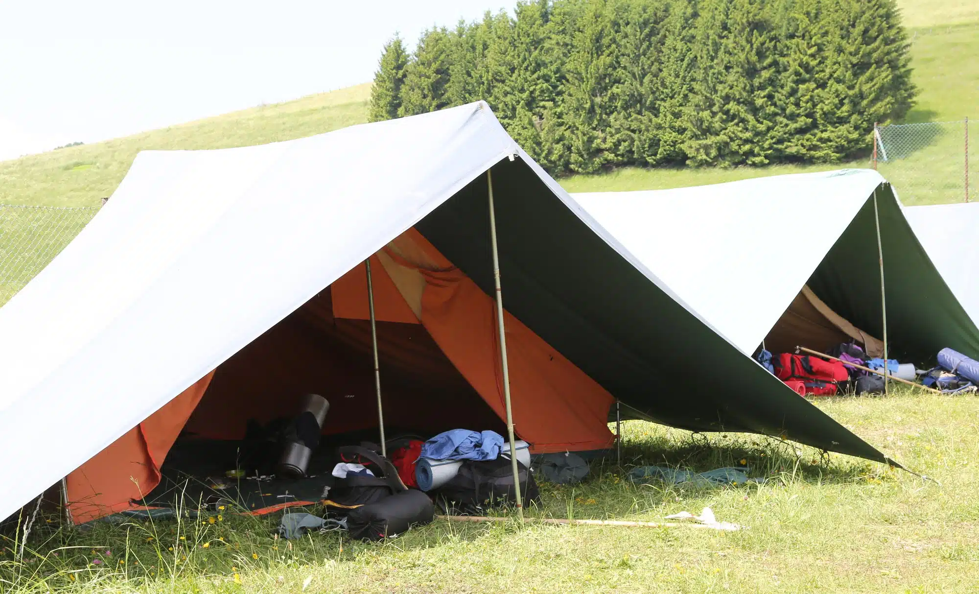 Boy Scout Perversion Files