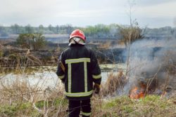 A firefighter stands in a field.