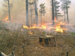 California wildfire history is alarming.