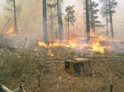 California wildfire history is alarming.